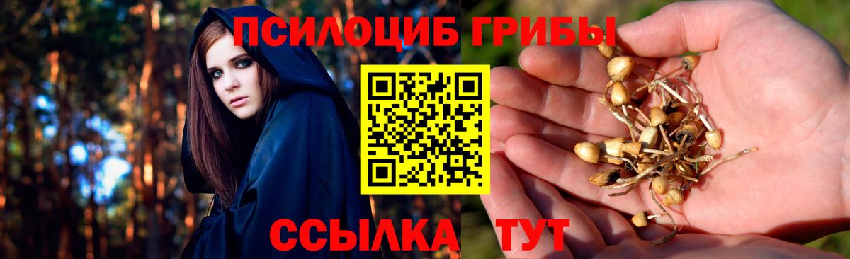 Псилоцибиновые грибы мухоморы Благовещенск